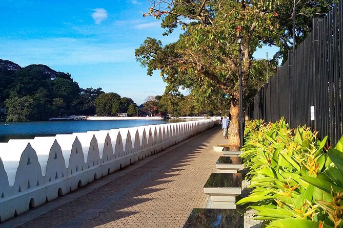 Kandy Private Day Tour from Trincomalee - Practical Tips for Travelers