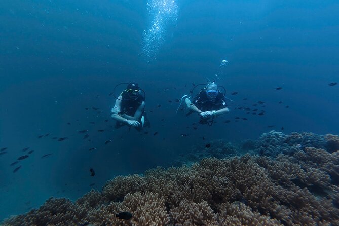 Scuba Diving in Phu Quoc for Non Certificated Divers (2 Dives) - What Makes This Tour Stand Out?