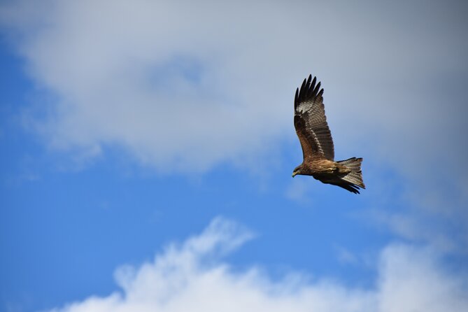 The best of Central Mongolia Guided 3 day Adventure - Authentic Traveler Insights