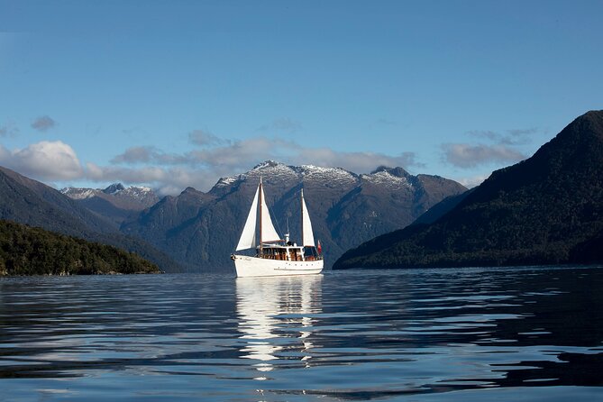 Milford Track Day Walk with Lake Te Anau Water Taxi - Practical Details and Considerations
