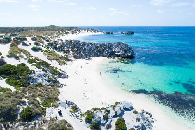 Discover Rottnest with Ferry & Bus Tour - Exploring Rottnest Island with Ferry & Bus Tour: An In-Depth Review