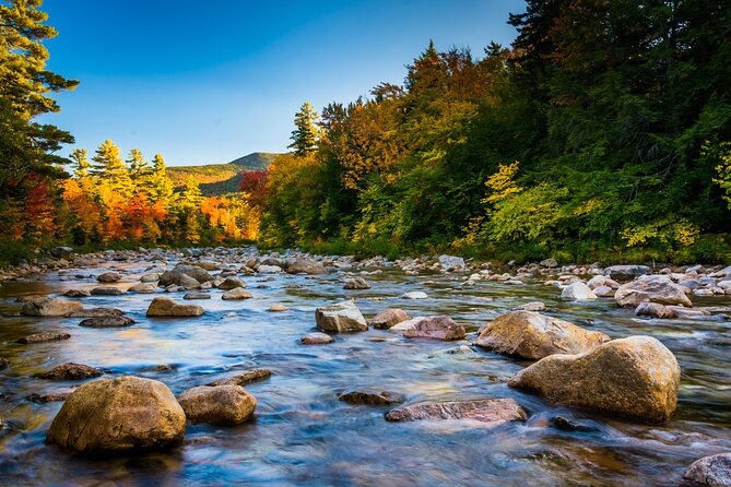 Springfield Self-Guided Walking Audio Tour - Summary and Who It’s Best For