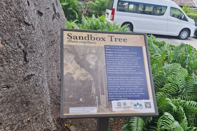 Antigua Tour and Beach - The Sum Up