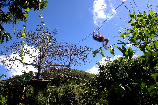 Antigua Zipline Canopy Adventure from St Johns - What Makes This Tour Worth It?