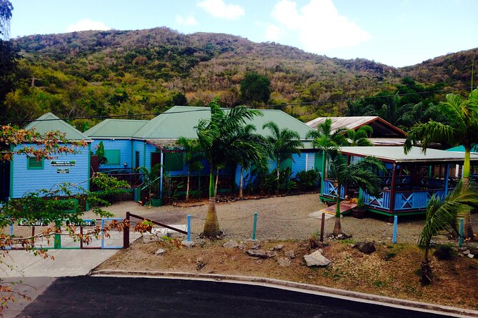 Antigua Zipline Canopy Adventure from St Johns - Who Should Consider This Tour?