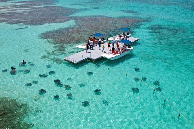 Stingray City - An In-Depth Look at the Stingray City Antigua Experience