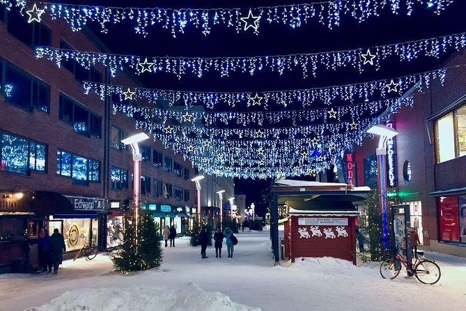 Rovaniemi Guided Tour and Santa Claus Village - Who Should Consider This Tour?