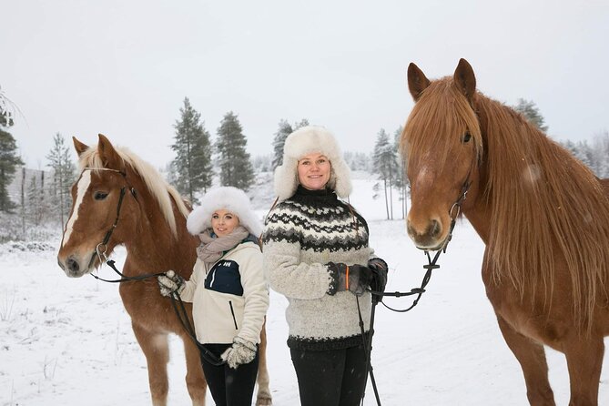 Private Sleigh Ride with Finnhorse - A Detailed Look at the Private Finnhorse Sleigh Ride