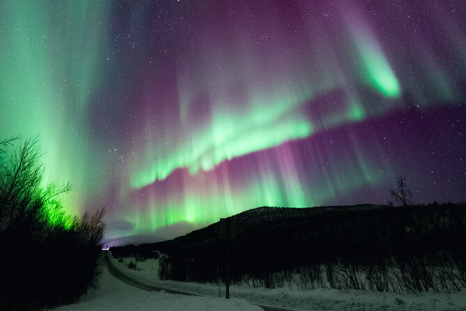 Rovaniemi: Northern Lights Pro Guaranteed - Unlimited (PRIVATE) - Who Should Consider This Tour?