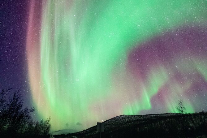 Rovaniemi: Northern Lights Pro Guaranteed - Unlimited (PRIVATE) - The Sum Up