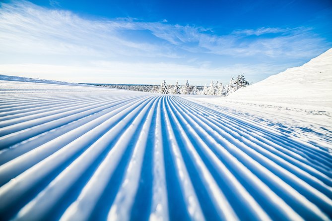 Cross-Country Skiing Trip - A Close Look at the Tour Experience