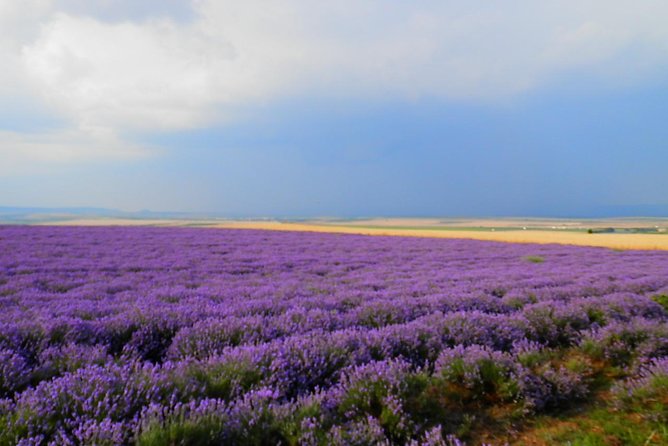 North-Eastern Bulgaria at a Glance - Ivanovo, Shumen & Madara from Bucharest - Who Will Love This Tour?
