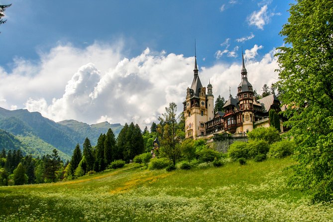 Peles Royal Castle & Wine Tasting - 9 hours - Key Points