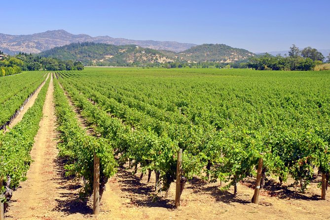 Peles Royal Castle & Wine Tasting - 9 hours - A Closer Look at the Itinerary: What to Expect