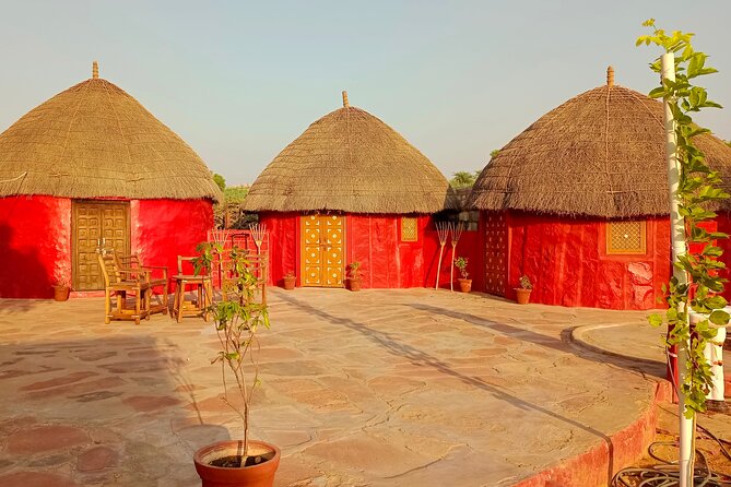 Overnight Desert Stay with Camel Safari and Homemade Food - OM - Transport & Practical Details