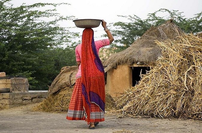 Full-Day Bishnoi Village Safari - Authentic Insights from Past Participants