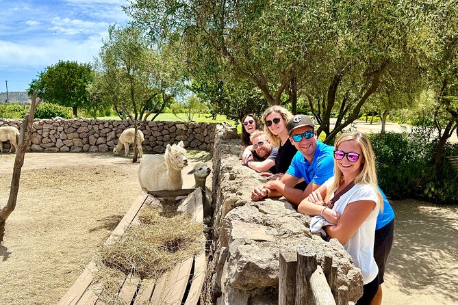 Taste 10 Types of Wine in 3 exceptional Casablancas Vineyards - An In-Depth Look at the Casablanca Valley Wine Tour