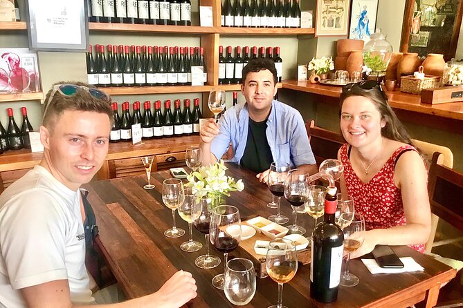 Taste 10 Types of Wine in 3 exceptional Casablancas Vineyards - Who Should Book This Tour?