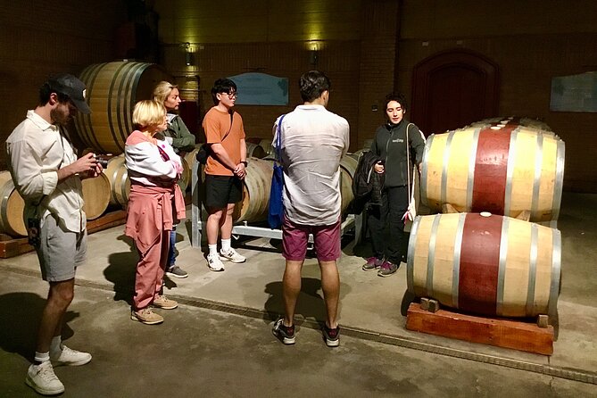 Taste 10 Types of Wine in 3 exceptional Casablancas Vineyards - Final Thoughts