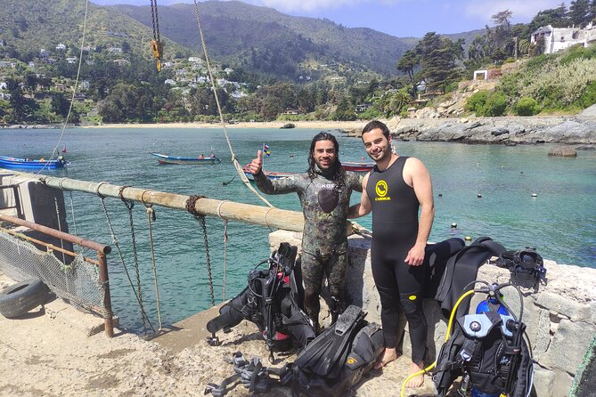 Private Valparaiso, Nautic Visit Penguins Island & Horse Riding - Who Will Love This Tour?