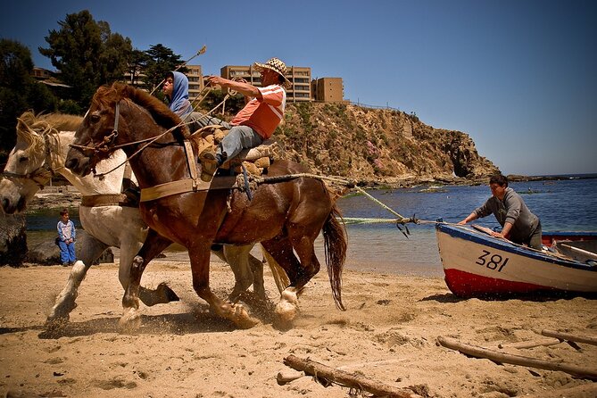 Private North Coast Day Trip - Whats Included and What to Keep in Mind