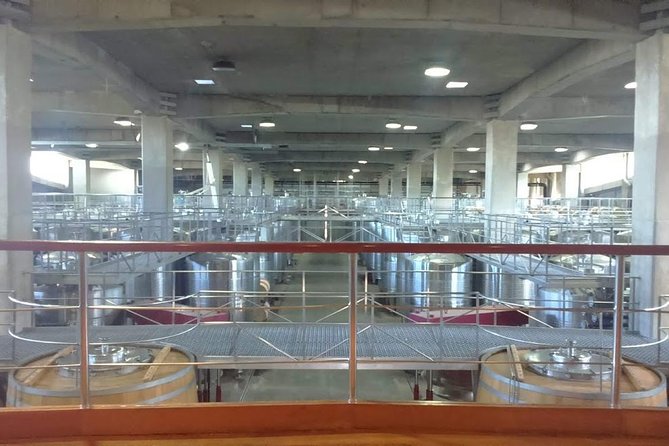 Pick up at the Pier and Valparaiso -Viña del Mar and transfer to the Airport - Wine Tasting in Casablanca Valley