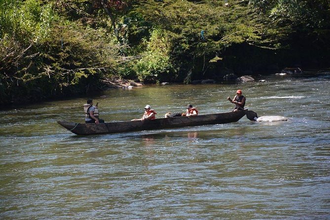 One day tour in the jungle. all inclusive. - Exploring Ecuador’s Jungle — What to Expect