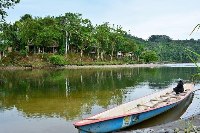 One day tour in the jungle. all inclusive. - The Sum Up: A Solid, Authentic Amazon Adventure