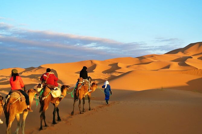 2 Day Private Fez Desert Tour to Merzouga - What Makes This Tour Stand Out?
