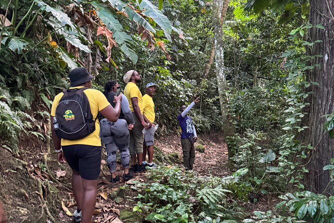 Scenic Hiking Trail Adventure of Montserrat - Final Thoughts: Who Will Love This Tour?