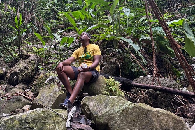 Scenic Hiking Trail Adventure of Montserrat - Why This Tour Stands Out