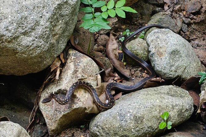 Scenic Hiking Trail Adventure of Montserrat - An In-Depth Look at the Montserrat Hiking Experience
