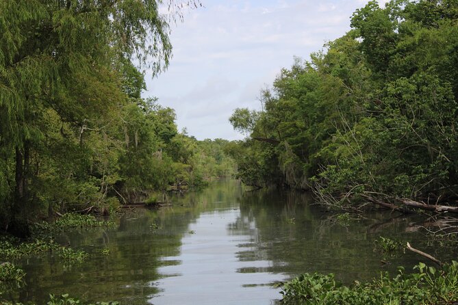 Covered Boat Swamp Tour with Transportation from New Orleans - Exploring the Tour Itinerary in Detail