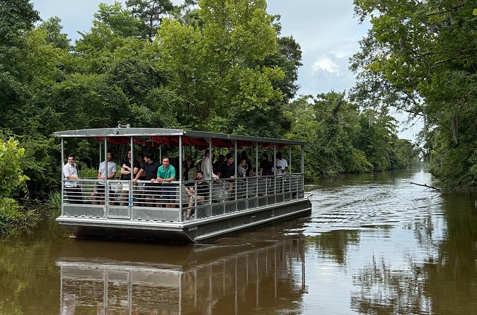 Covered Boat Swamp Tour with Transportation from New Orleans - Analyzing the Value
