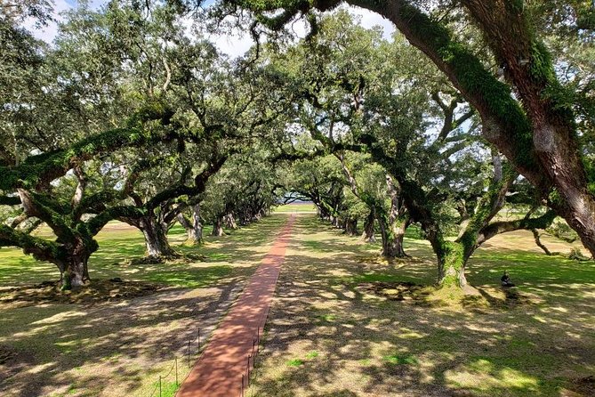 Oak Alley and Laura Plantation Tour with Transportation from New Orleans - Who Will Love This Tour?