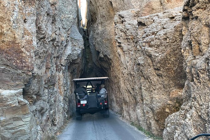 JEEP Bison Safari at Custer State Park - Family Friendly Prices - Good To Know