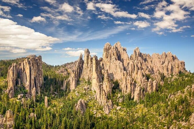 Private Half Day Mt Rushmore & Black Hills Tour - Key Points