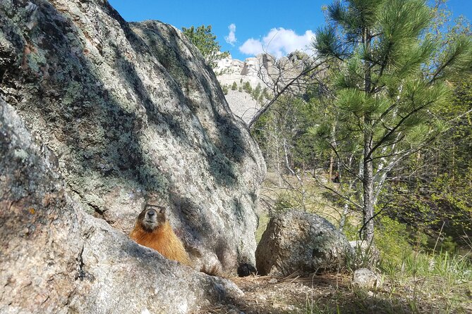 Private Half Day Mt Rushmore & Black Hills Tour - FAQ