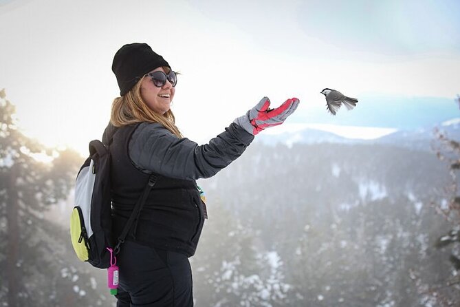 Chickadee Ridge Beginner Snowshoe Activity - The Sum Up: Who Should Consider This Tour?