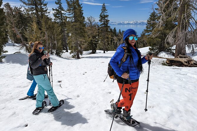 Chickadee Ridge Beginner Snowshoe Activity - Key Points