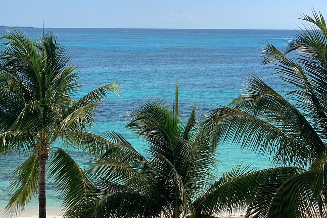 Private Transfer from La Paz to Cabo San Lucas - Pricing and Value