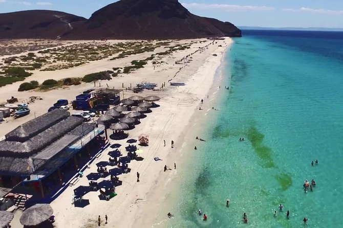 La Paz and Todos Santos City and Beaches Tour - Who Will Enjoy This Tour?