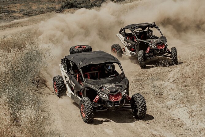 UTV Off-roading + sandboarding Adventure at the Dunes - Key Points