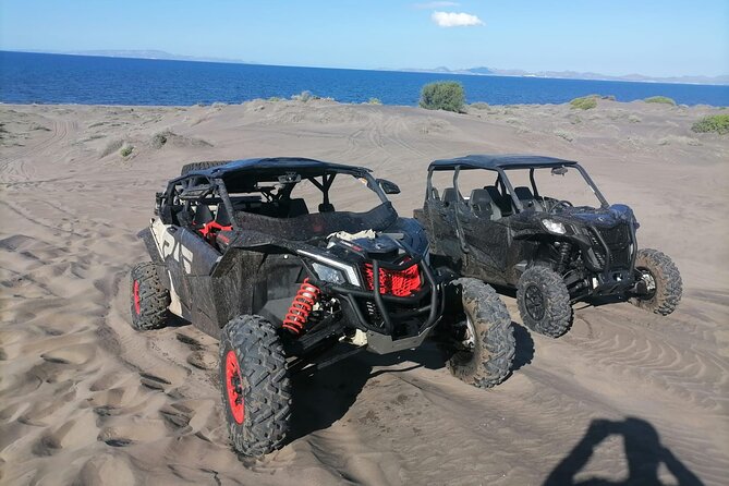 UTV Off-roading + sandboarding Adventure at the Dunes - Practical Details and Tips