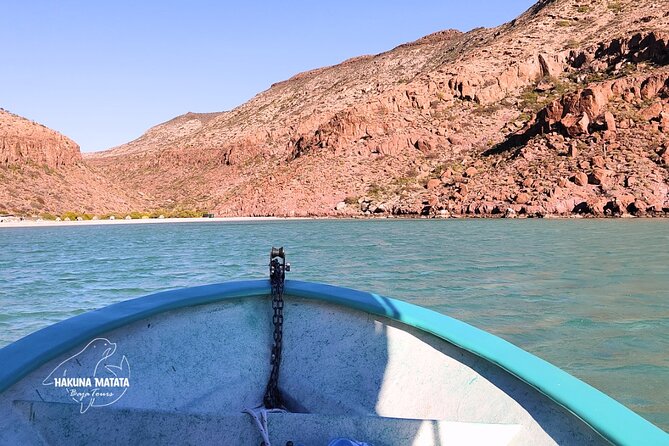 Private Tour to Isla Espiritu Santo and snorkel with sea lions - The Sum Up: Who Will Love This Tour?