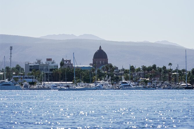 Sea Kayak Tour Mangrove Safari - Practical Details: What to Know Before You Go