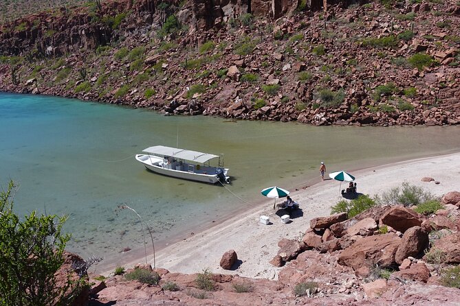 Espiritu Santo Wildlife Expedition and Snorkeling Tour (Private) - Wildlife Encounters and Snorkeling Highlights