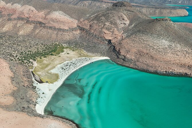 Espiritu Santo Wildlife Expedition and Snorkeling Tour (Private) - Scenic Lunch and Free Time on Isla Espiritu Santo