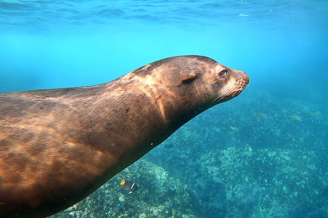 Espiritu Santo Wildlife Expedition and Snorkeling Tour (Private) - Practical Details: What You Need to Know