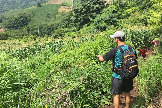 Wet & Wild: Tamanique Waterfalls + Craft Beer sampling & Lunch - Relaxing at El Tunco Beach or Nawi Beach House